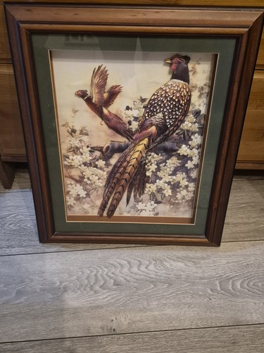 Pheasant picture framed - 3d,