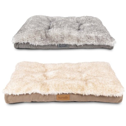Scruffs slumber dog - slumber, mattress