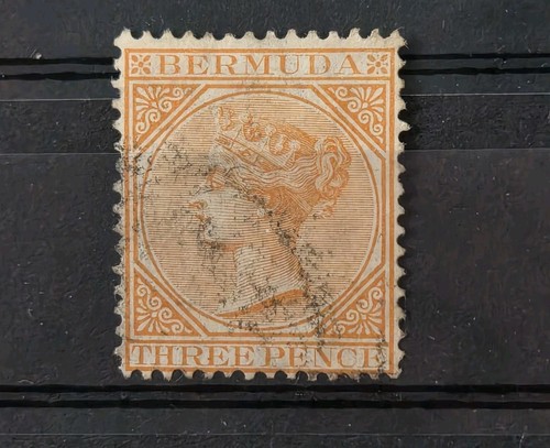 Bermuda orange fine - 5, 3d