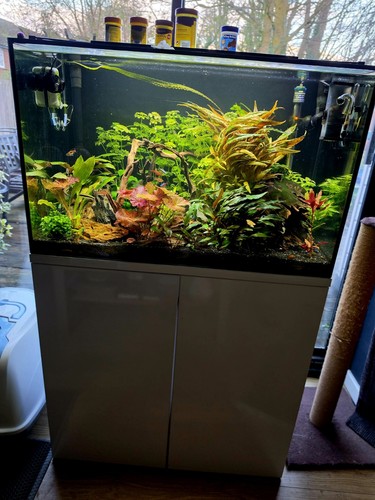 Fish tank aquarium full - tank,