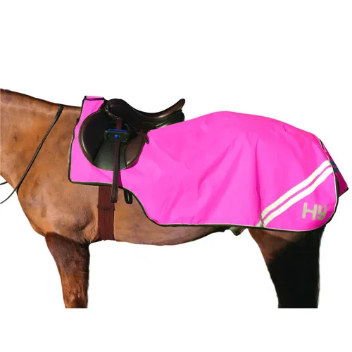 Equestrian reflector - equestrian,