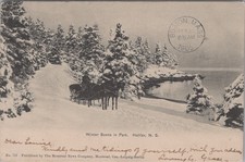 Winter Scene In Park Halifax