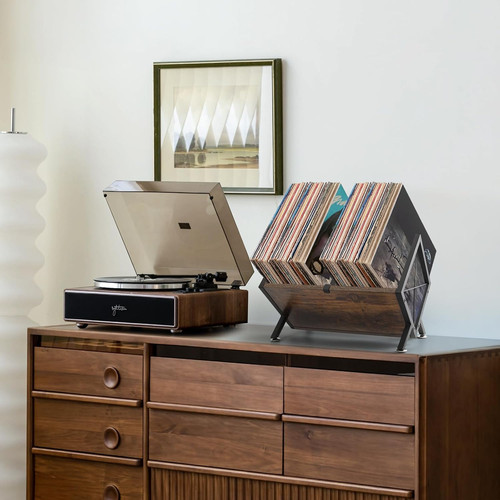 Vinyl record storage rack - storage,