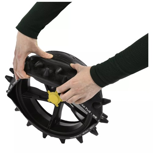 Kaktus golf trolley - kaktus, winter