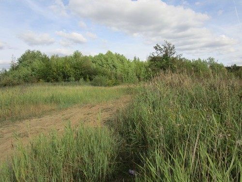 Photo 6x4 former spoil heap - photo,
