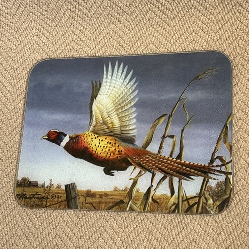 Vintage pheasant glass worktop - vintage,