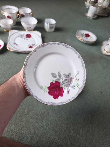 Royal stafford bone - royal,