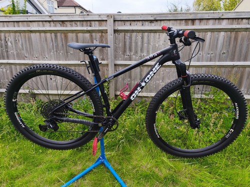 One whippet carbon - one,