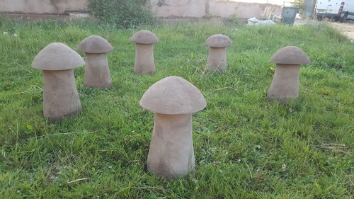 Saddle stone mushroom - stone,,