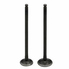 1Pair Intake & Exhaust Valve