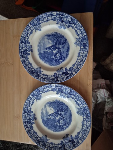 Pair blue white copeland - white,