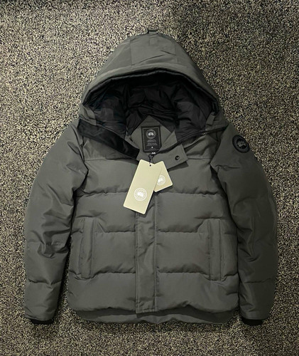 Canada goose men grey - canada, men’s