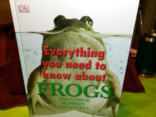 Everything you need know - everything,