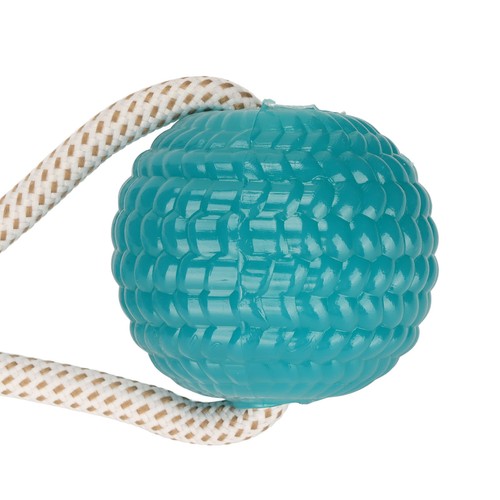Dog pull toy - dog, texture