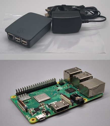 Raspberry model plus - raspberry,