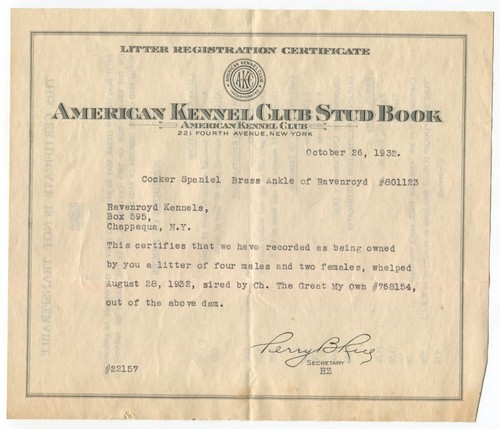 1932 american kennel club - 1932, stud