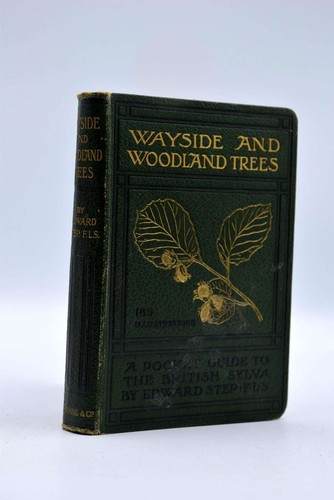 Wayside and woodland trees - wayside, trees: