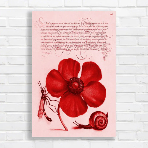 Red poppy botanical canvas - red,