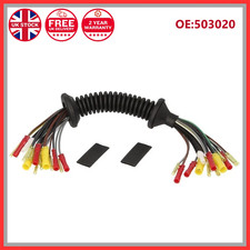 Tailgate Wiring Loom Repair