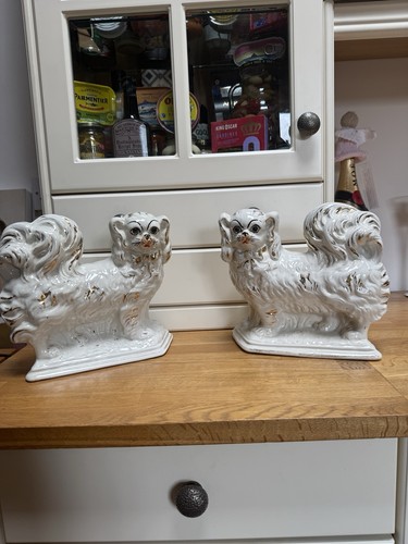 Pair king charles - pair,