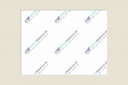 Custom size picture photo - custom,