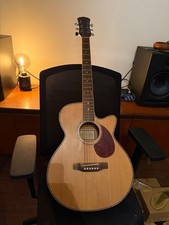 Freshman FA1AN Electro-Acoustic Guitar – Built-In AEQ-401R EQ, Natural Finish