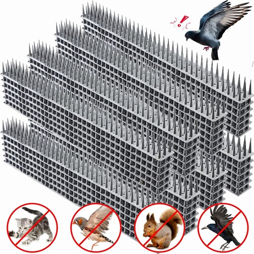 Bird spikes for pigeon - bird,