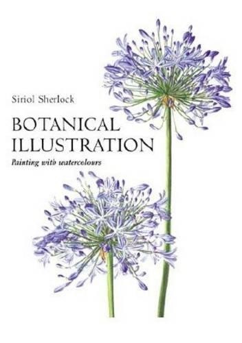 Botanical illustration - botanical,