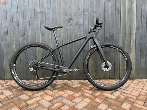 29er carbon race bike - race, large