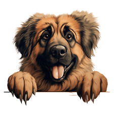 6 x Leonberger car sticker 9 x