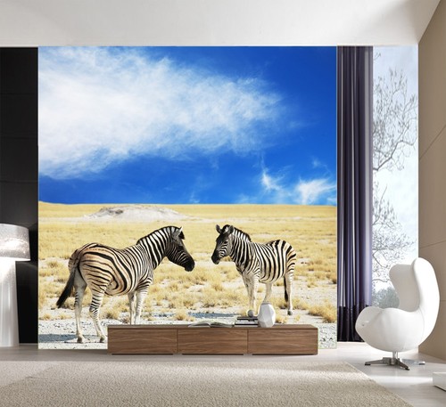 Zebra animal r9998 - animal,