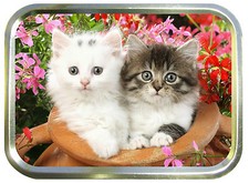 Flowerpot kittens 2oz - kittens, gold