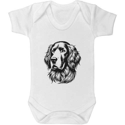 Irish setter baby - 'irish, /