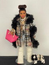 Barbie doll with luxury