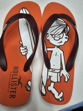 Hollister Waxer Mascot/logo