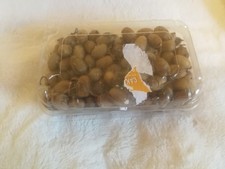 409g A box of Acorns 2025, Oak tree seeds: Warning poisonous  to cattle