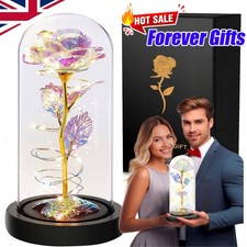 Eternal Forever Rose Flower In