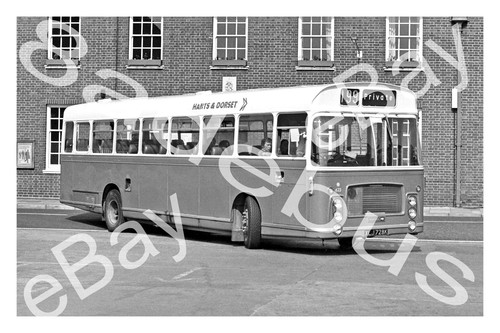 Bus photograph hants dorset - photograph,