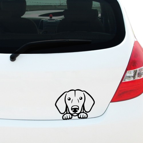 Peeking dachshund decal - dachshund,