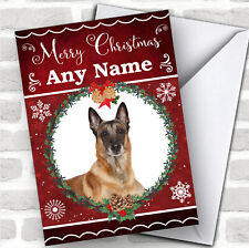 Belgian Shepherd Malinois Dog