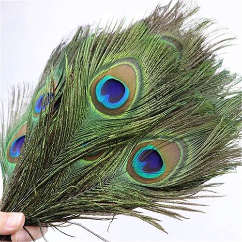 20pcs beautiful real peacock - 20pcs,