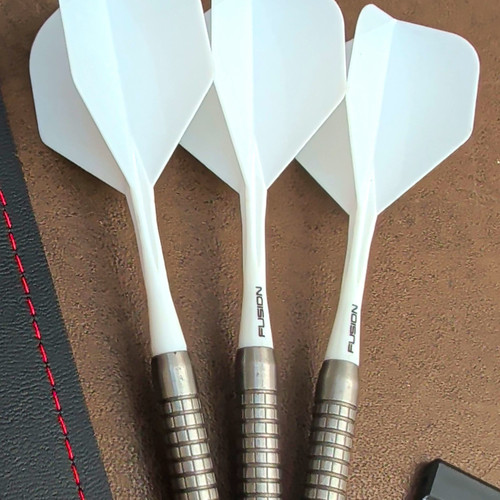 Tungsten 21g darts - with, winmau
