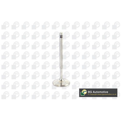 Bga engine intake valve - bga,