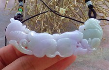 Video Certified Lavender Burma