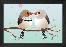 A couple zebra finches Framed