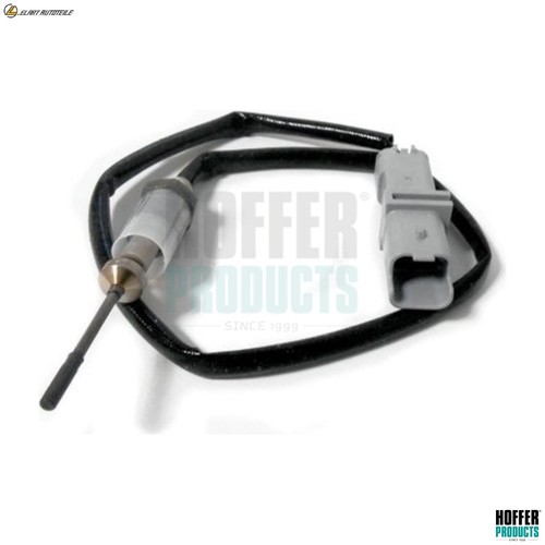 Exhaust gas temperature - gas, sensor