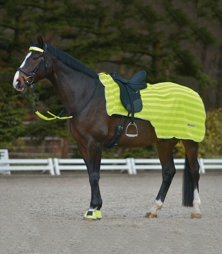 Waldhausen reflex rug with - reflex,