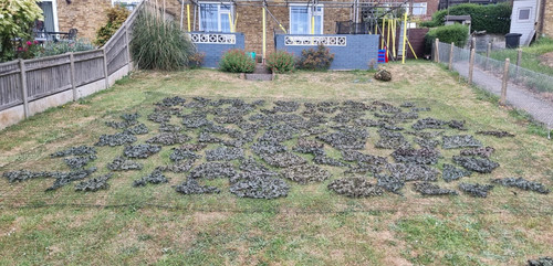 Military militaria camouflage - military,