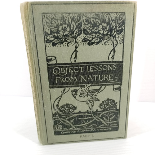 Object lessons from - lessons, nature