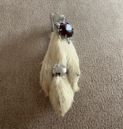 Rabbit fur mammal - mammal, pin